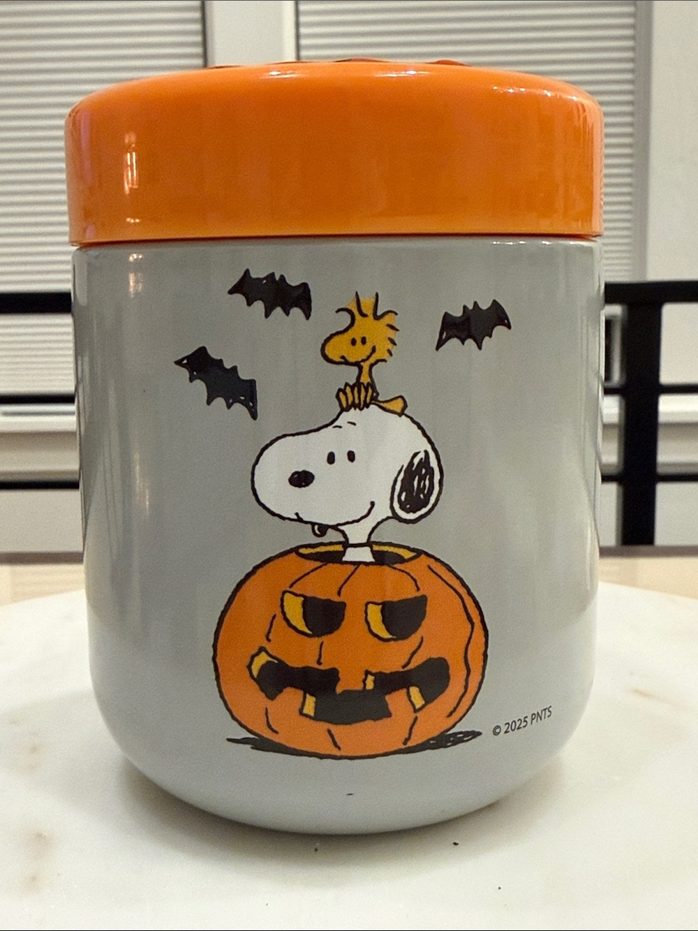 Peanuts Snoopy Hot/Cold Food Container